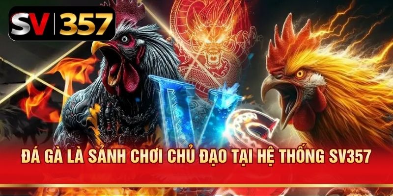 Đá gà là sảnh chơi chủ đạo tại hệ thống SV357